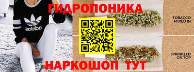 ешки Жуковский