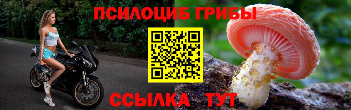 Галлюциногенные грибы Cubensis  Вход с VPN  Балтийск 